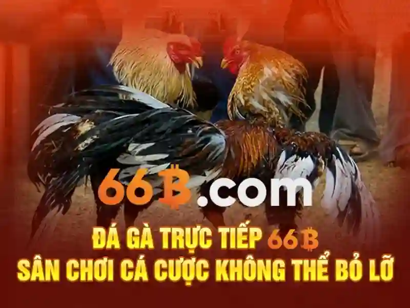 Hệ thống <strong>link 66b</strong> an toàn và bảo mật