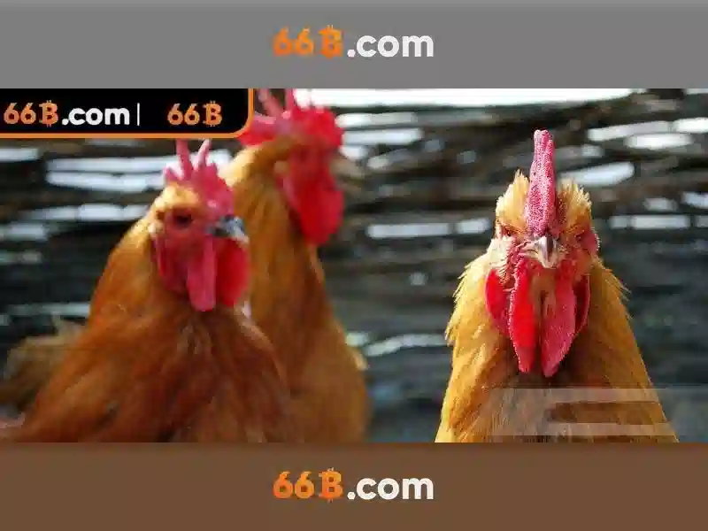 Trải nghiệm chơi Slot đỉnh cao tại 66B