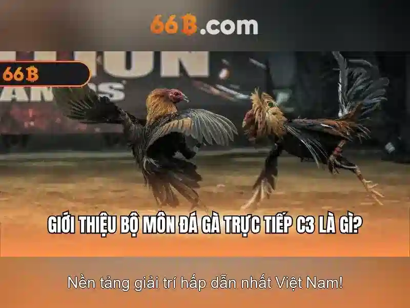 đăng nhập 66b